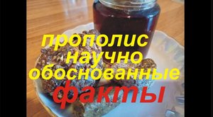 Прополис. Факты по науке.