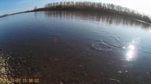 Рыбалка 2020 Осиновое плесо