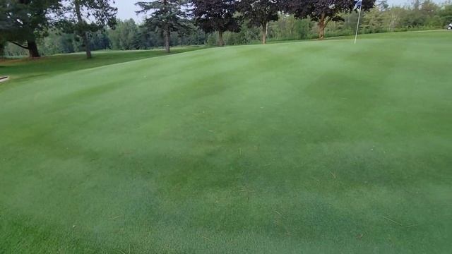 ЕДЕМ ИГРАТЬ В ГОЛЬФ / МУЗЫКАЛЬНЫЙ СЮРПРИЗ / ЖАРИМ СТЕЙК смотреть онлайн