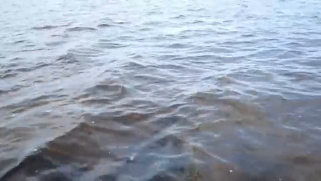 Увлекательная рыбалка с другом 👍🏻 смотреть онлайн