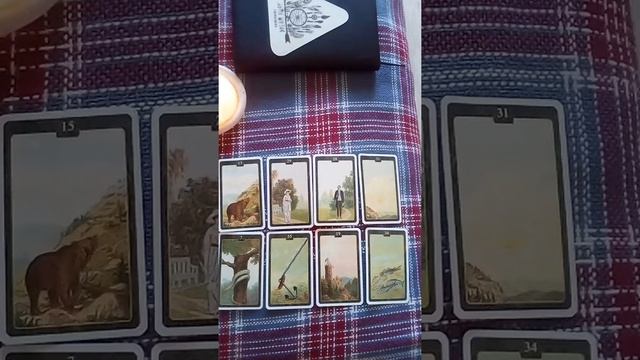 Что между нами будет? Ч. 1 #раскладонлайн #гаданиетаро #тарорасклад #пандоратаро смотреть онлайн