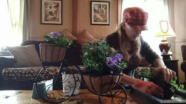 Flower Arrangement~Dianthius, Pansies & Creeping Jenny смотреть онлайн