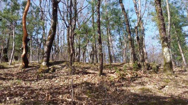 7 апреля 2021 г. смотреть онлайн