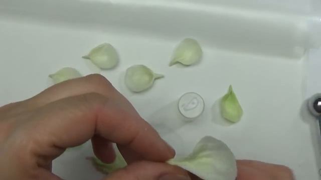 Мастер Класс Холодный фарфор .Веточка с цветами МК от Риты :))