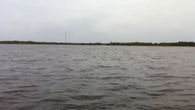 Mirage River Racer Zebra on lake lowery смотреть онлайн