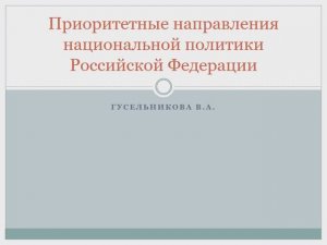Приоритетные направления национальной политики РФ