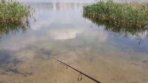 Рыбалка на ПОПЛА-ПОППЕР. Рыбалка на озере.