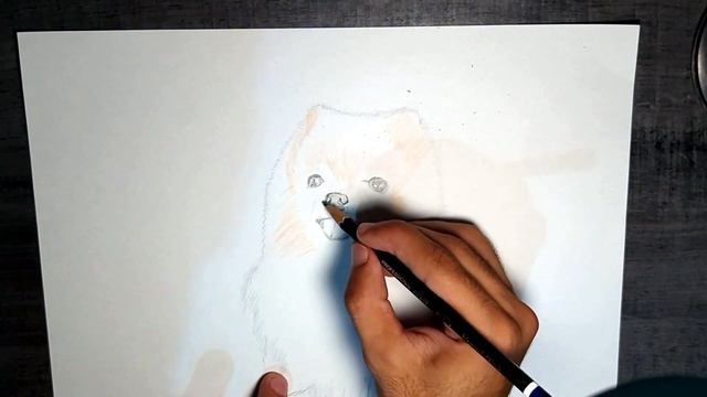How to Draw Dog | Draw Cute Dog | Dog Sketch смотреть онлайн