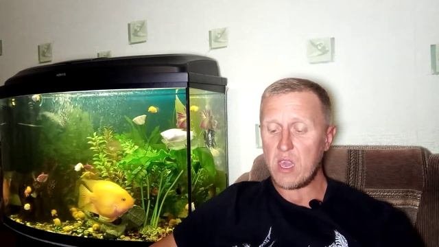 Шарль Перро 
