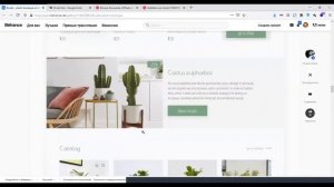 [Дизайн разбор] Фидбек по дизайну интернет магазина растений