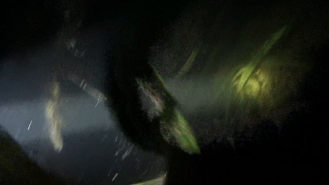 ЩУКА НОЧЬЮ смотреть онлайн