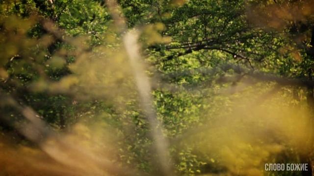 Аллилуйя! Лучшее в Жизни Время! смотреть онлайн