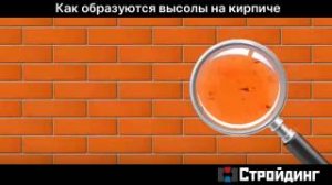 Как образуются высолы на кирпиче.mp4