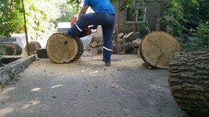 Бензопила ТАЙГА 245. 2003р. Результат несвоєчасного регулювання жорсткості пружин рами!!!