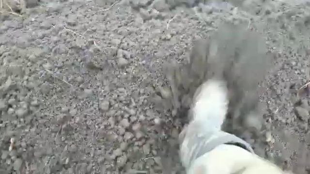 Верхний слой плодородной земли.