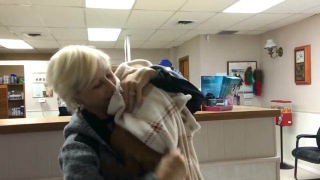 БОЛЬНИЦА- стерилизация собаки- я забираю РОЗИ смотреть онлайн