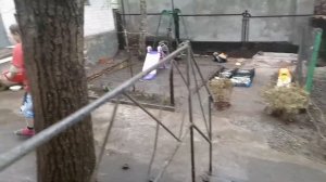 Чистим слив ванной.