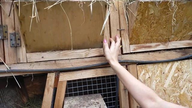 ОБЗОР КРОЛИКОВ//ЧТО ЛУЧШЕ ПРОПОЙКА ИЛИ УКОЛ??? смотреть онлайн