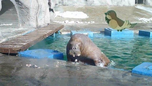 Где обедал воробей стихотворение для детей. смотреть онлайн