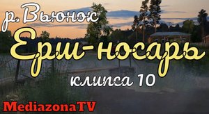 Русская Рыбалка 4 Где Клюет  р.Вьюнок  Ерш-носарь 08.04.23