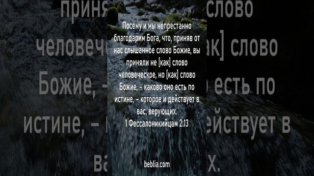 1 Фессалоникийцам 2:13 - Священный Библейский Стих #Библия #Бог #Иисус #церковь [SH] смотреть онлайн