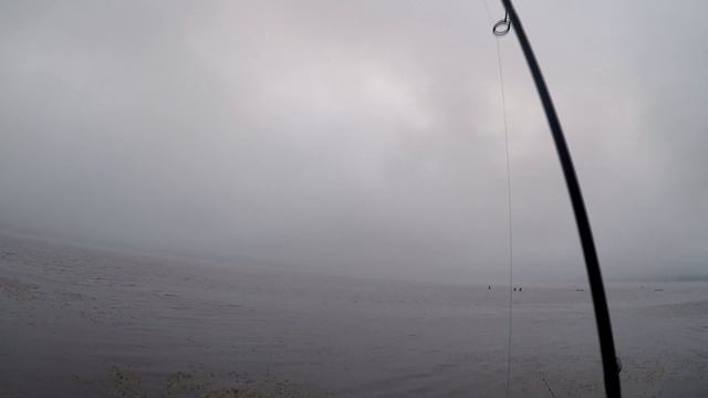 Фидер звенит от ЛЕЩЕЙ! Непростая рыбалка в Десногорске. смотреть онлайн