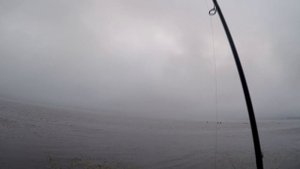 Фидер звенит от ЛЕЩЕЙ! Непростая рыбалка в Десногорске.