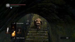Dark Souls. Серия 5. Путь Город Нежити-Уезд Нежити