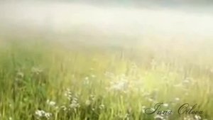 романс "Губами губ твоих коснусь", автор ролика Инна Орлова