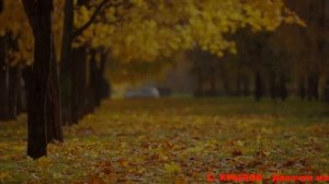 С. КРЫЛОВ – Девочка моя