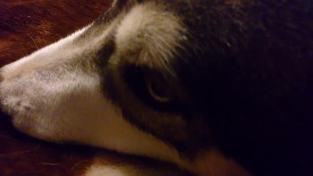 Не послушный Ричуша смотреть онлайн