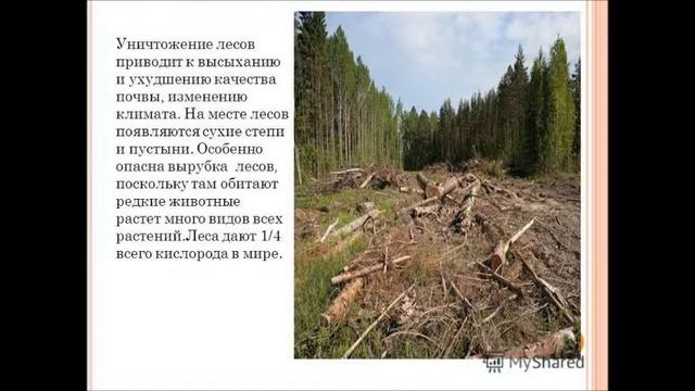 природа просит защиты смотреть онлайн