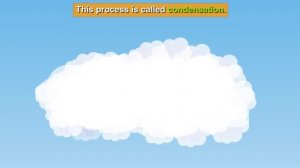 Water Cycle | #aumsum #kids #science #education #children