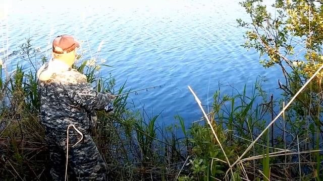 Трудовой карась,плотва на поплавок.Краснопёрка на попла попер.Повстречались с косулей