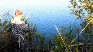 Трудовой карась,плотва на поплавок.Краснопёрка на попла попер.Повстречались с косулей
