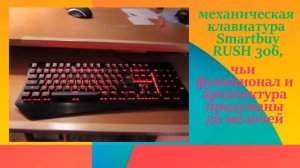 Клавиатура Smartbuy RUSH 306