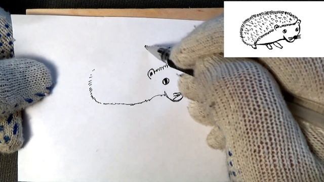 Ежик для срисовки. смотреть онлайн