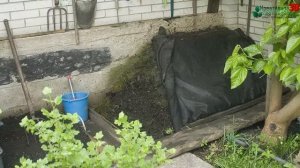 Лекция с Валерием Деминским #2, почва