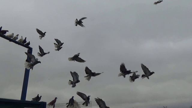 Александр Столяров