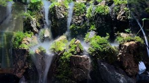 Туманный флорариум своими руками.