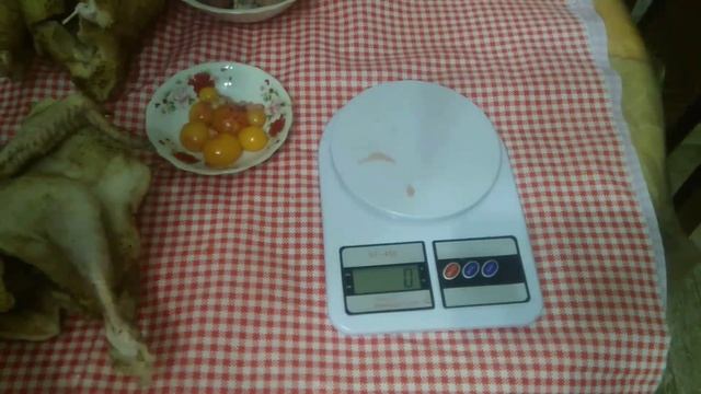 Вес тушки голошейки и доминанта в 6 месяцев. смотреть онлайн