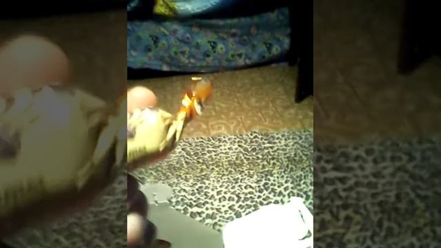 Расскрываю и делаю обзор на подарок с ёлки в каи смотреть онлайн