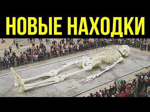 ✅ Древние находки