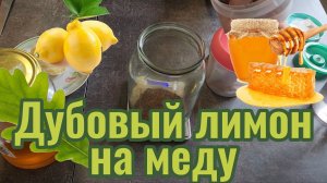 Медовый Лемодуб