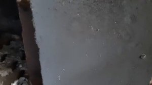 Зола и уголь: мусор или польза?