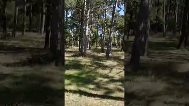 Одесса на моноколесе. Моноколесо! смотреть онлайн