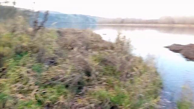 Один прекрасный Октябрьский вечер с нами. смотреть онлайн