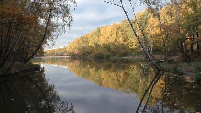 Стихи. Осеннее чудо смотреть онлайн