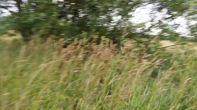 Знакомства с деревней Сельцы