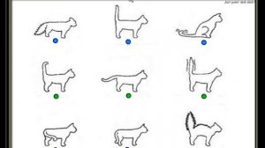 Настроения кошки могут быть признаны за хвост. Хвост позы кошки.